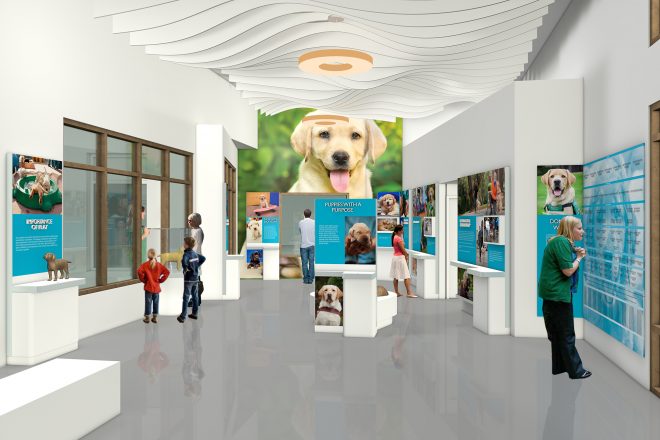 Puppy Center Learning Lab