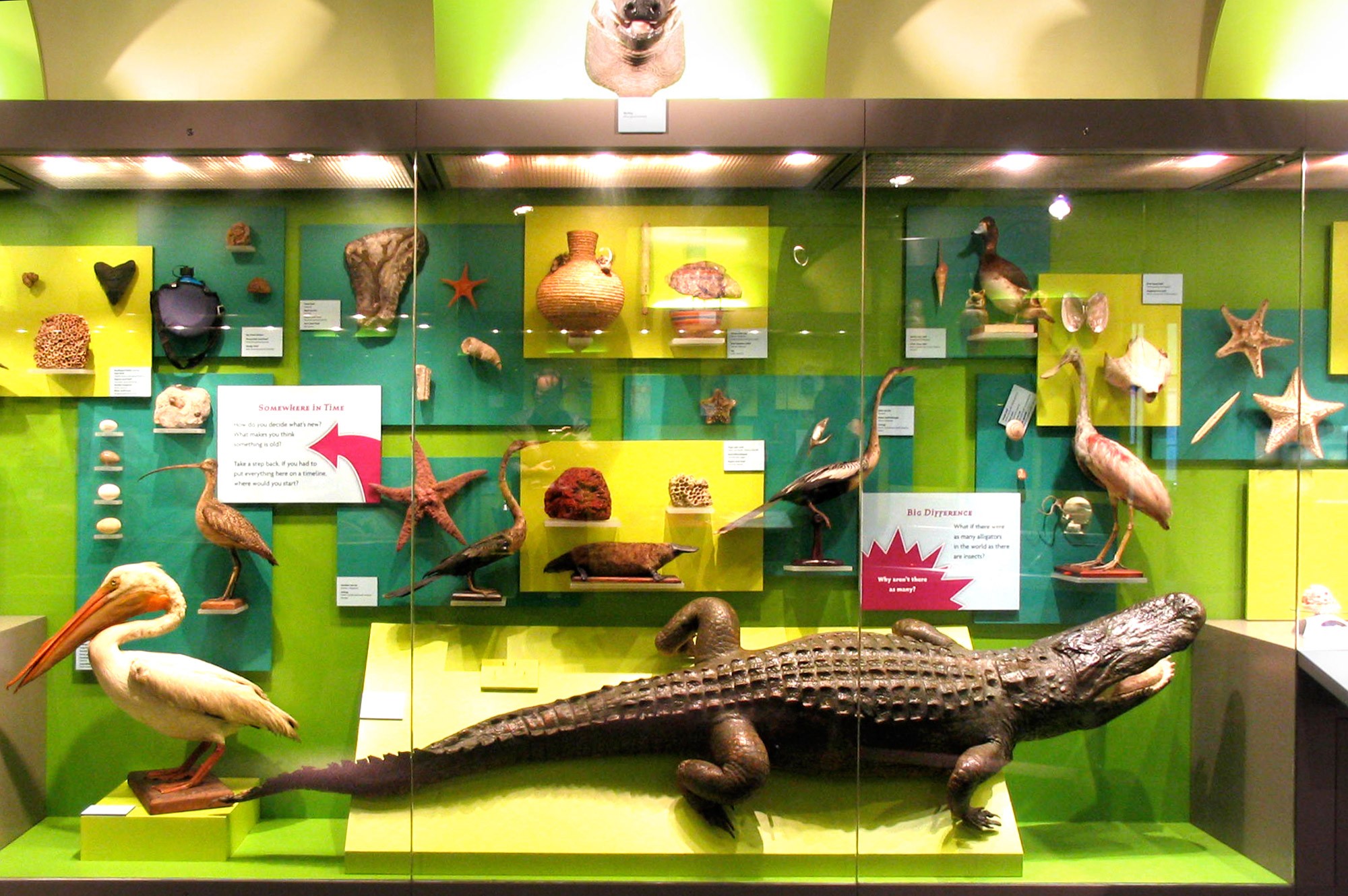 The Discovery Gallery